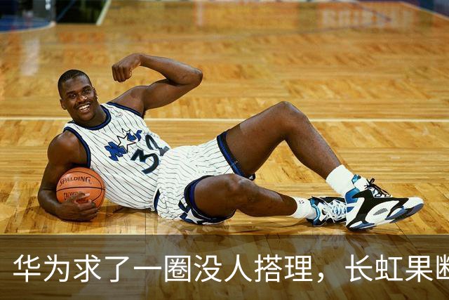 华为求了一圈没人搭理，长虹果断接盘